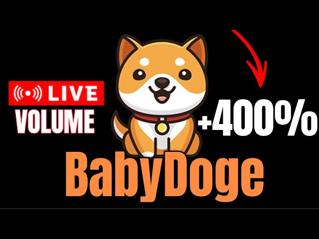 BabyDoge Volume UP +400% OMG