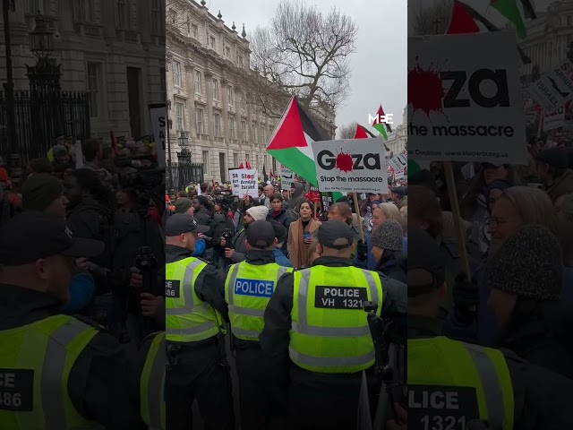 Police block, arrest protesters at pro-Palestine march in London