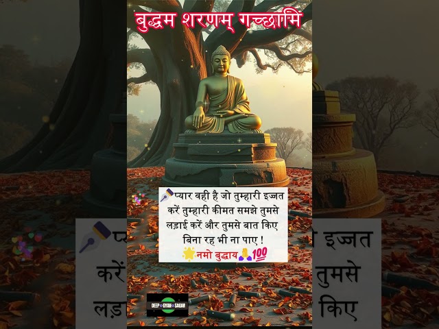 प्यार वही है जो | Gautam Buddha Anmol Vachan #buddhaquotes #buddhagyan #buddha #shorts Buddha Quotes