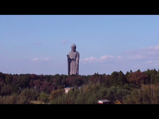 動く　牛久大仏