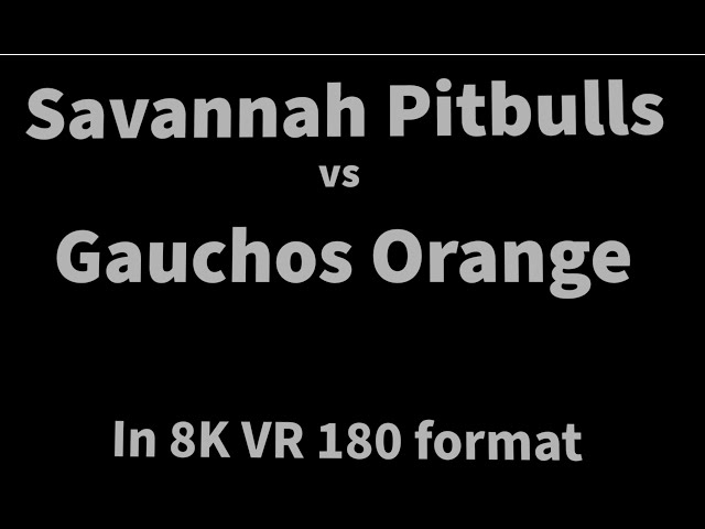 2024-06-16 Savannah Pitbulls v Gauchos Black - VR180 - Balling on the Beach - Class of 2029