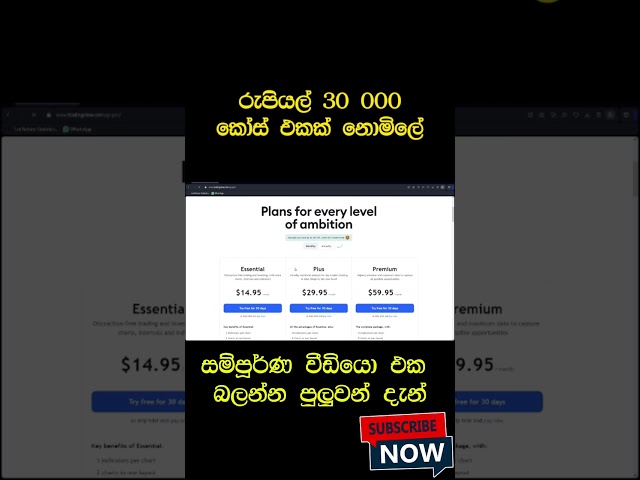 රුපියල් 35 000 ක් නොමිලේ /  Trading Free Course Sri Lanka #shorts  #trading  #binancefuture