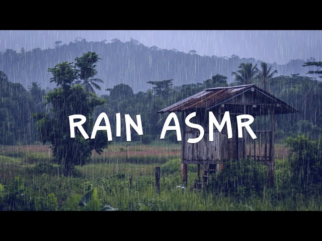 Rain Sounds for Sleeping | Rain Falling on TRADITIONAL House | Relaxing Rain