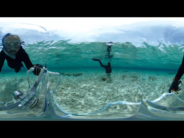 Snapshot Reef 360 Degree Video