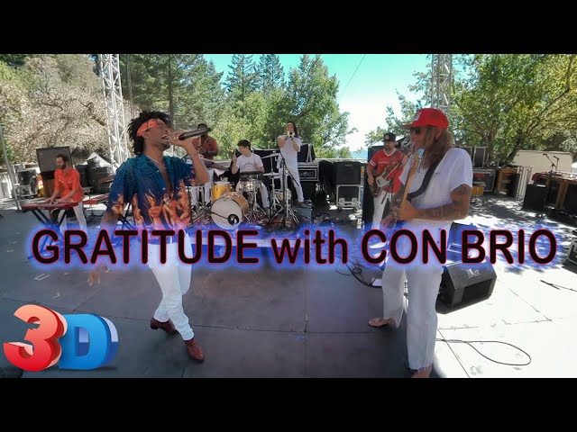 Gratitude: on stage with Con Brio | 360 3D video