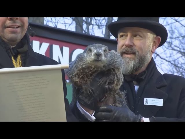 Groundhog Day 2025 Prediction: Punxsutawney Phil DOES see his shadow