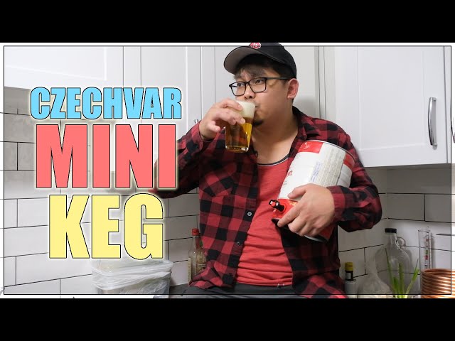 Big World Small Keg - Czechvar Lager Mini Keg 5L Review