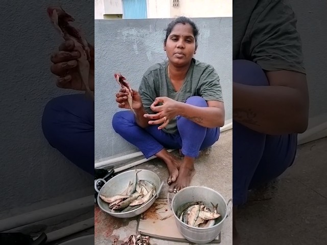 Hi all🙋 quick and easy fish cleaning 🐠🐟 #tamil #youtube #shortvideo #today #trending #home #shorts 😋