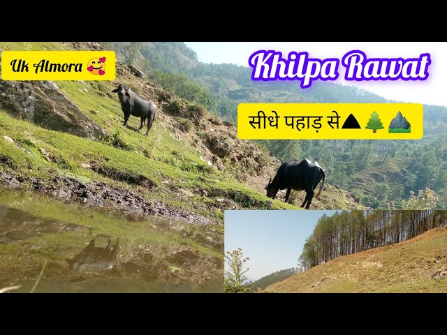 Apna gaw apna pahad 🌲🌲🥰#uttrakhand #uttarakhandi