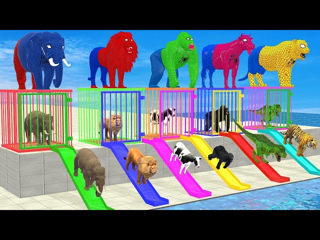 Cartoon Animal 🐘 Adventure: Elephant, Tiger & More Jump to Choose the Right Fountain! 🌈