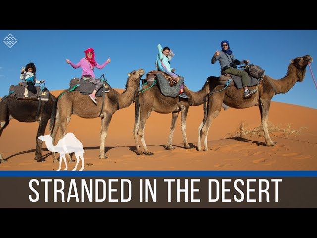 THE SAHARA DESERT EXPERIENCE | MOTORHOME MOROCCO | EPISODE 56