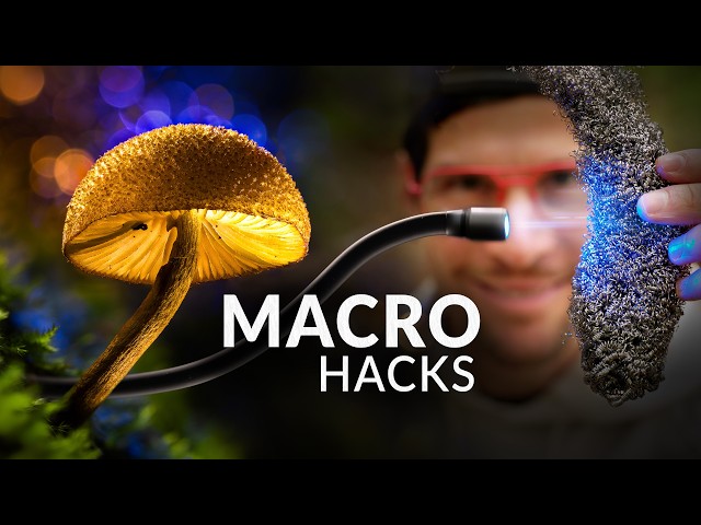 9 Must-Try Macro Photography Hacks (In Just 2 Minutes!)