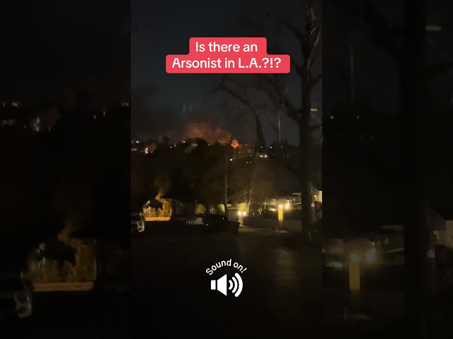 Is there an Arsonist in L.A.?!?