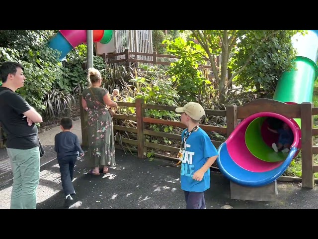 Daily life in Auckland(Primary School + Weekend) 奥克兰生活日常(小学+周末)