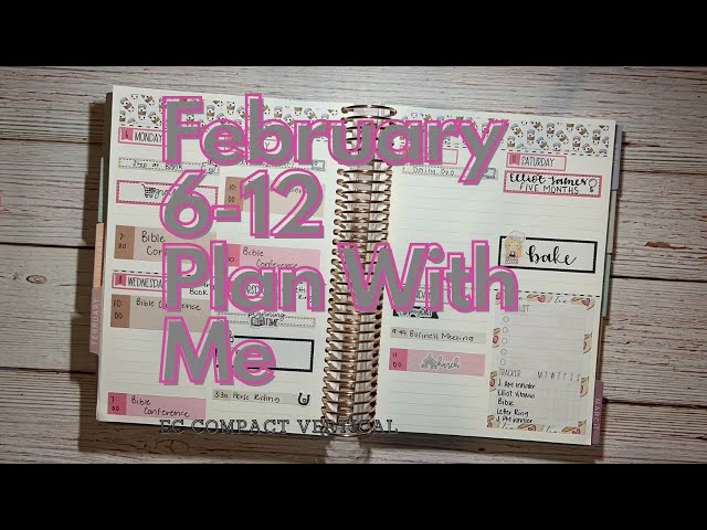 PLAN WITH ME | Erin Condren Compact Vertical Planner