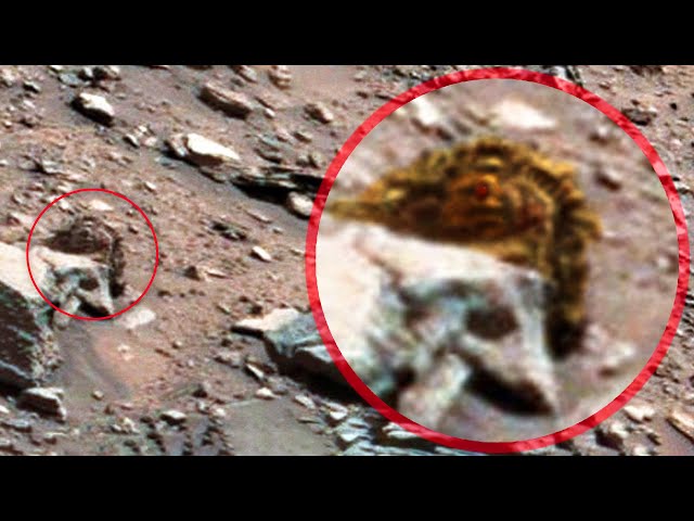 A Lurking Creature? Looks like Mars is inhabited!