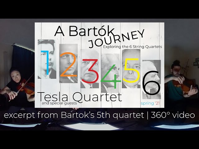 360° video | Béla Bartók's 5th String Quartet (excerpt) | Tesla Quartet | #ABartokJourney