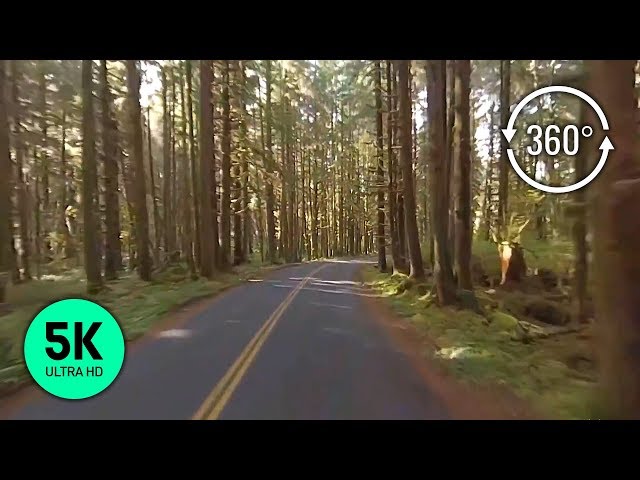 360° VR Scenic Drive through Olympic National Park - 5K Video - Part #1