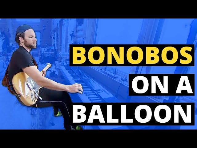 Bonobos on a balloon (360° Music Video)