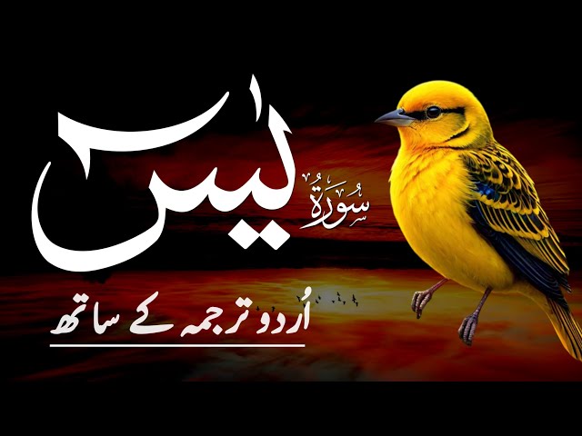 Surah Yaseen | Surah Yaseen With Urdu Translation | Episode - 659