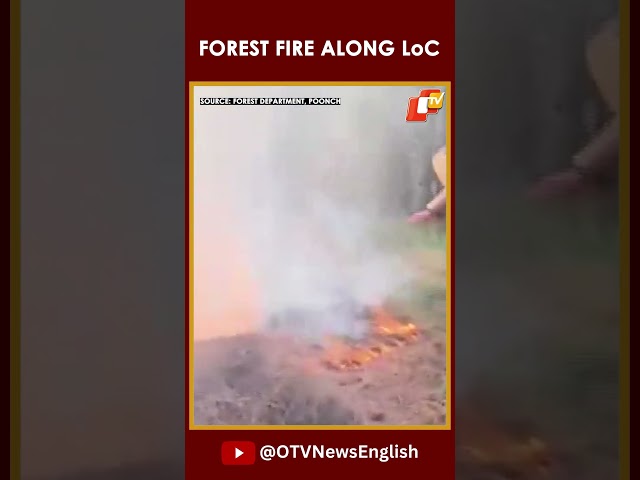 J&K: Forest Fire Erupts Along LoC In Poonch District, Relief Teams Rushed To Spot To Douse Fire