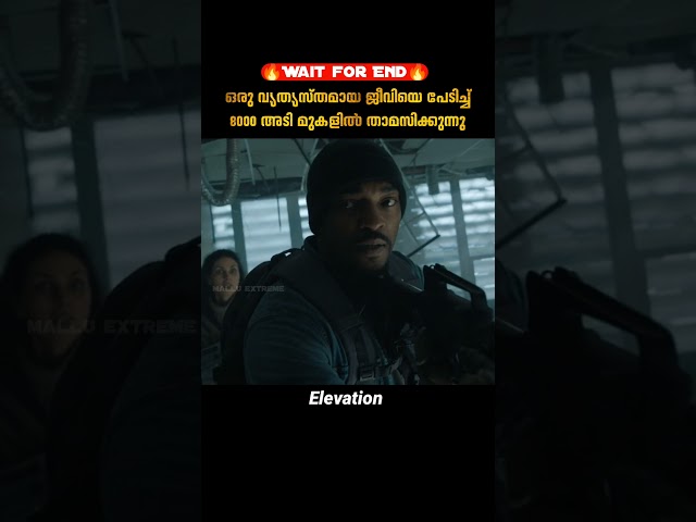 മനുഷ്യരെ കൊല്ലുന്ന വ്യത്യസ്തമായ ജീവി | Elevation | malayalam movie explanation