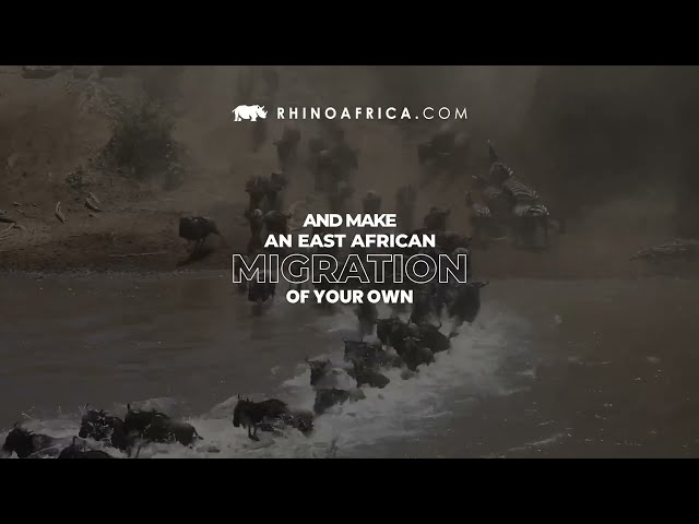 Join the Great Migration in East Africa