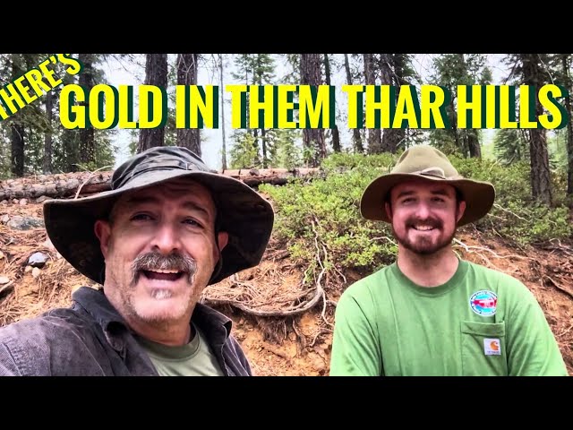 There's Gold in them thar Hills