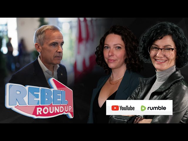 Rebel Roundup | Carney's energy plan, Premiers dismiss 51st state talk, Libs fail to cut immigration