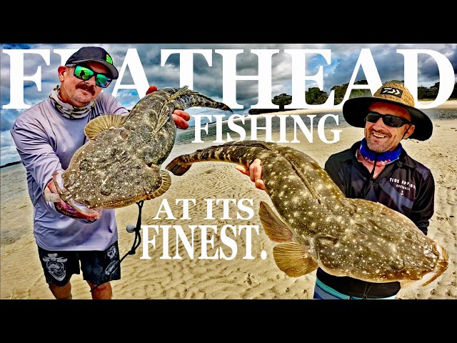 FLATHEAD FISHING | Live Bait Technique.