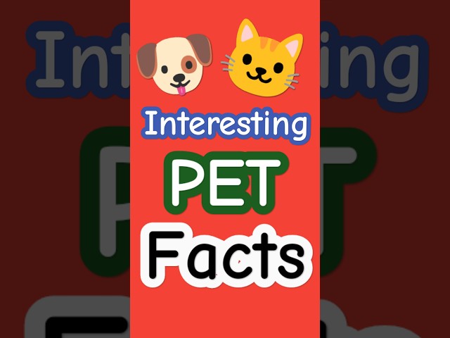 Interesting Pet Facts 🥰 #shorts