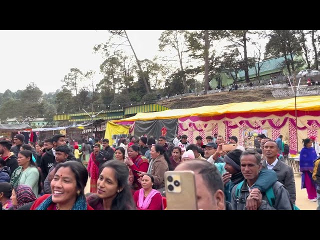 Maya Upadhyay all mix song || Kumauni song || Ranikhet uttrakhand || Kumaon mandal mahotsav |