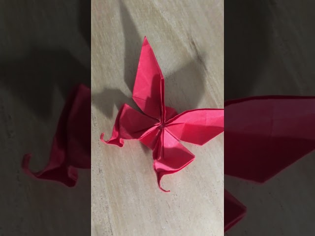 Origami Butterfly