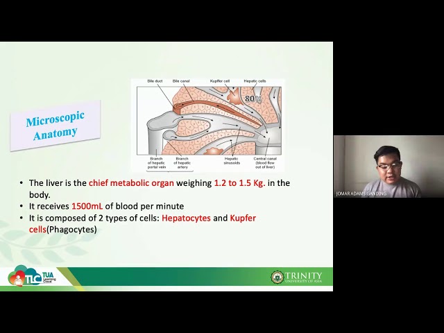 11_CCM_111-LIVER FUNCTION-Part 1