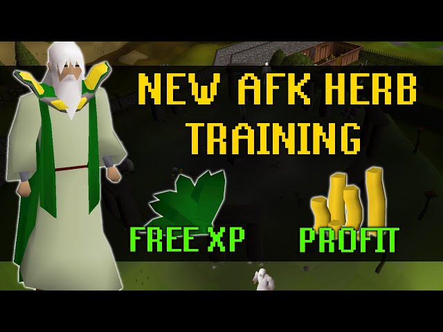 OSRS NEW Profitable AFK Herblore Training - Is It Worth it?