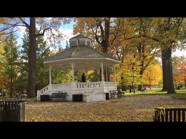 Saxophonist at Gage Park, Brampton