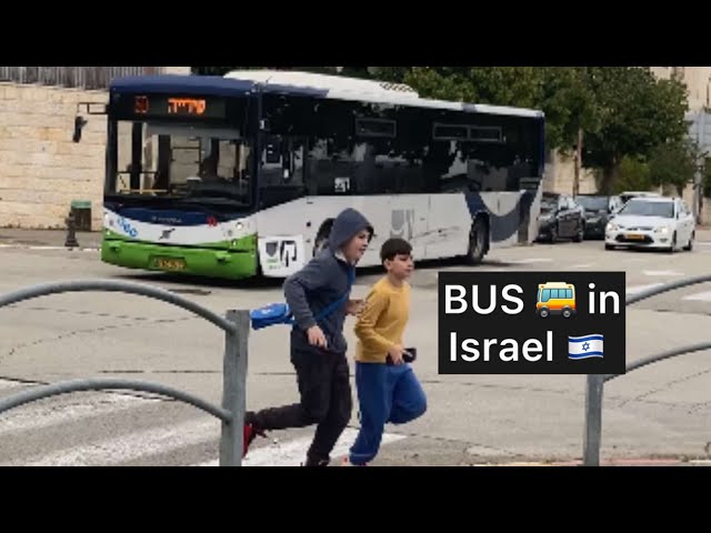 BUS IN ISRAEL IS AMAZING!