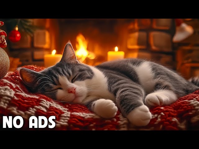 12 Hours of relaxing cat music🎵 Cozy winter ambience with cats 🎵 Cat music for anxiety 🎵 Piano music