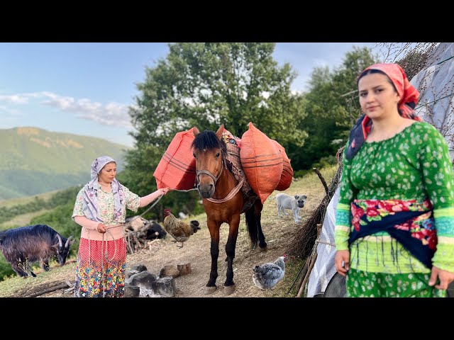 Exploring Iran's Nomadic Lifestyle: Milking Cows And Making Butter On The Grasslands