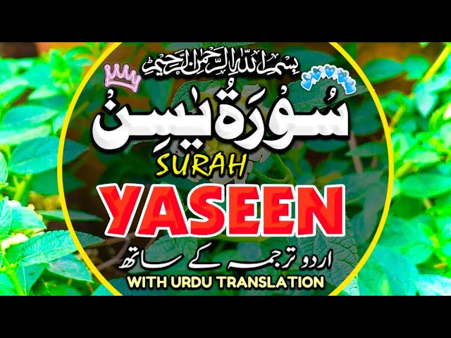 Surah Yasin(Yaseen) | Full With Arabic | Beautiful recitation|یس سورہ 36|000113|edit&pgdinz