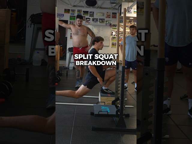 ATG Split Squat Breakdown