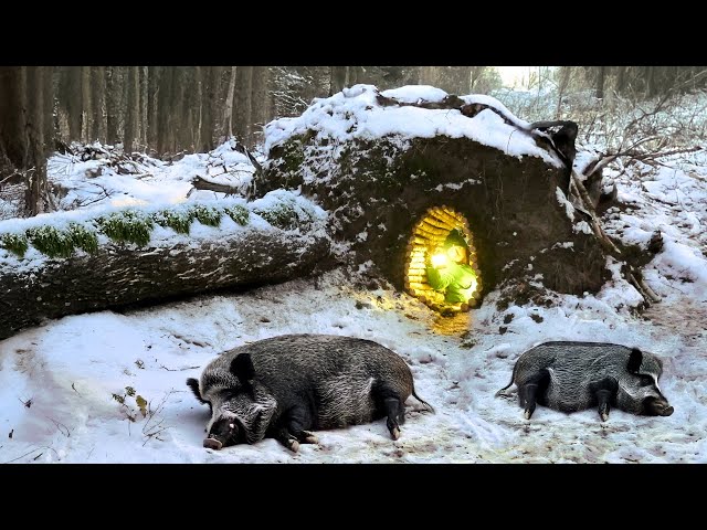 Building the Most Secret Survival Shelter in the root of a Fallen Birch Tree. Bushcraft in Winter