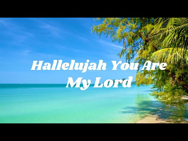 Hallelujah You Are My Lord/Praise & Worship Song/Christian Music #praise&worshipsong #music