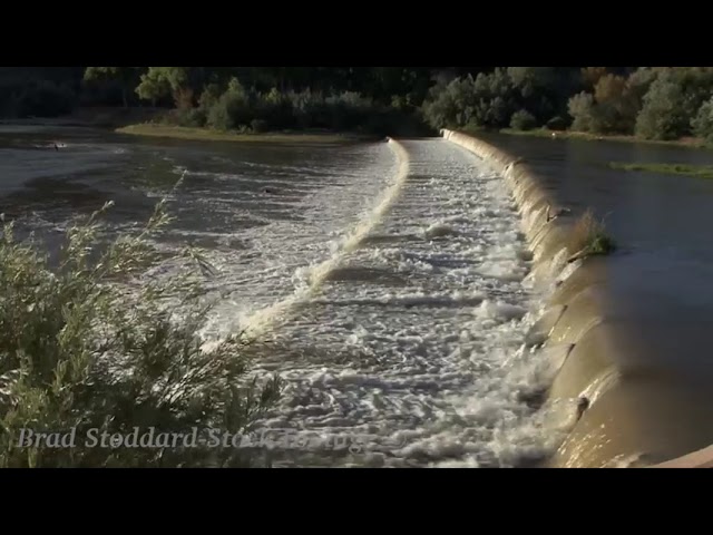 NM014 Rio Grande diversion dam Algodones preview