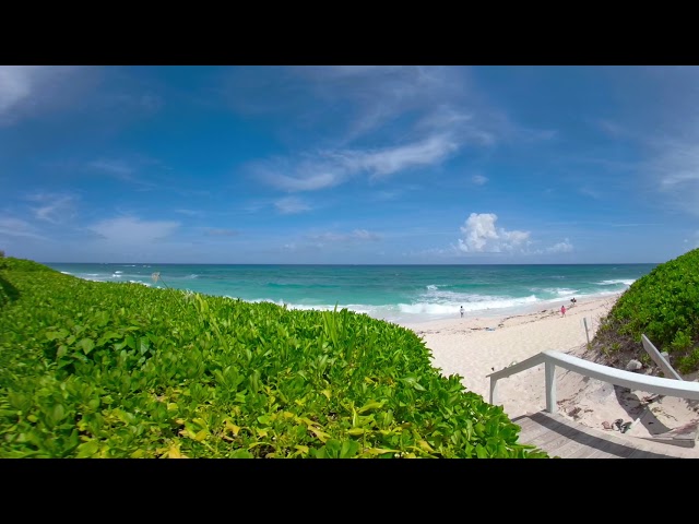 Lazy Locations 360 - Awesome Beach Bar in The Bahamas