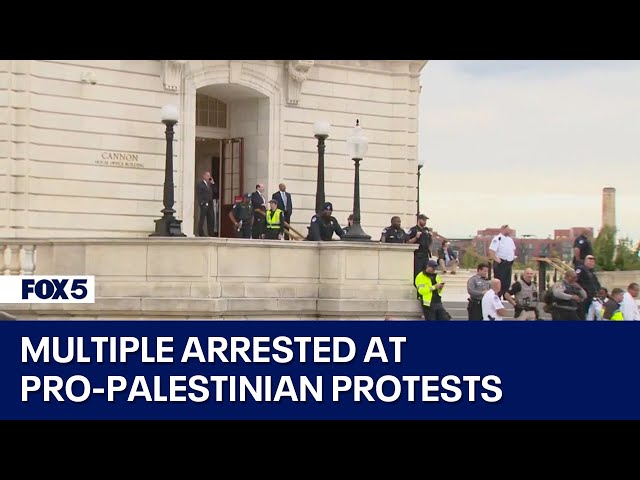 Multiple arrested at pro-Palestinian protests on Capitol Hill