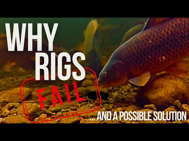 Why Carp Rigs Fail and a Possible Solution