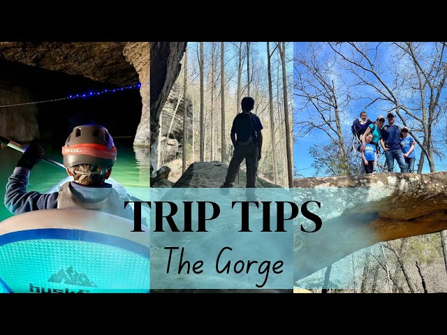 How to Plan your Family Trip to Red River Gorge