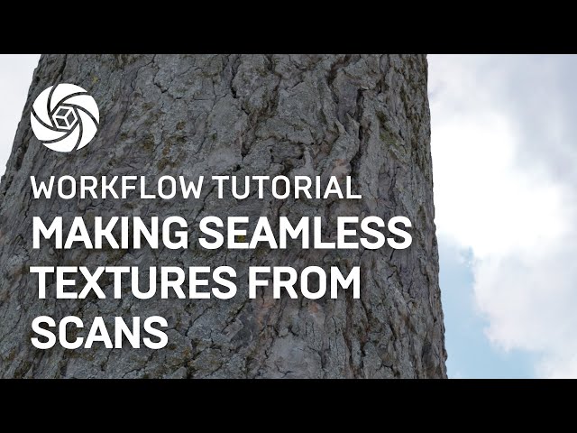 RealityCapture Tutorial: Making Seamless Texture From Scans