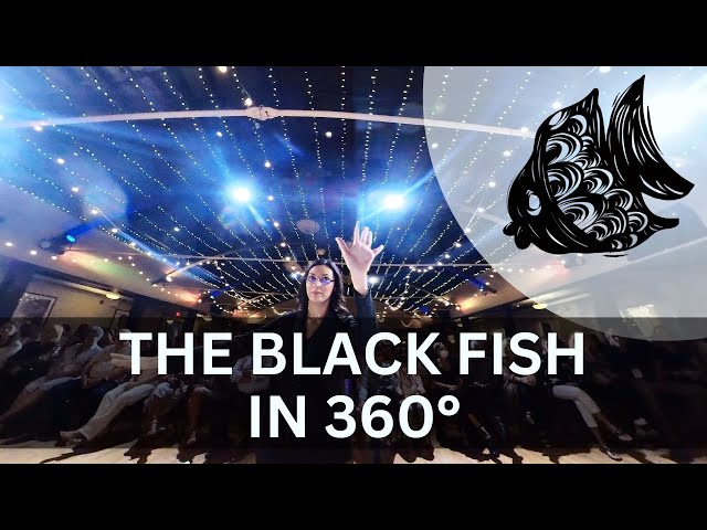 Black Fish - 360 Edition